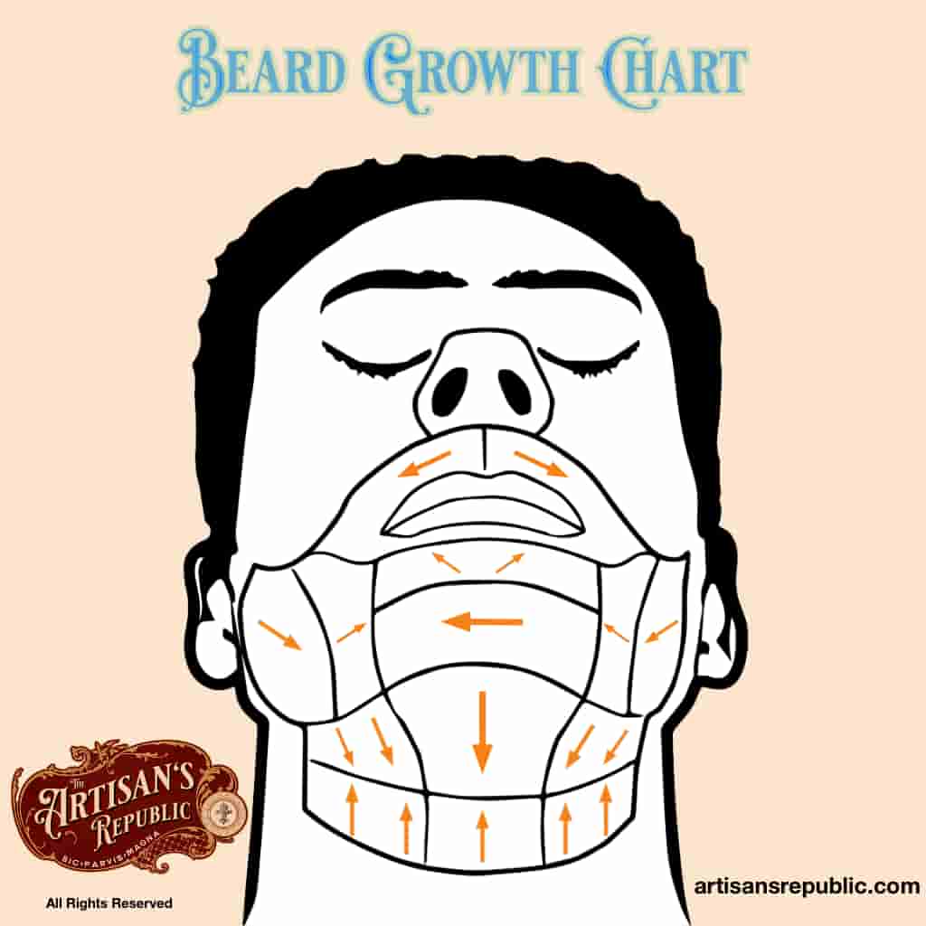 beard_growth_chart